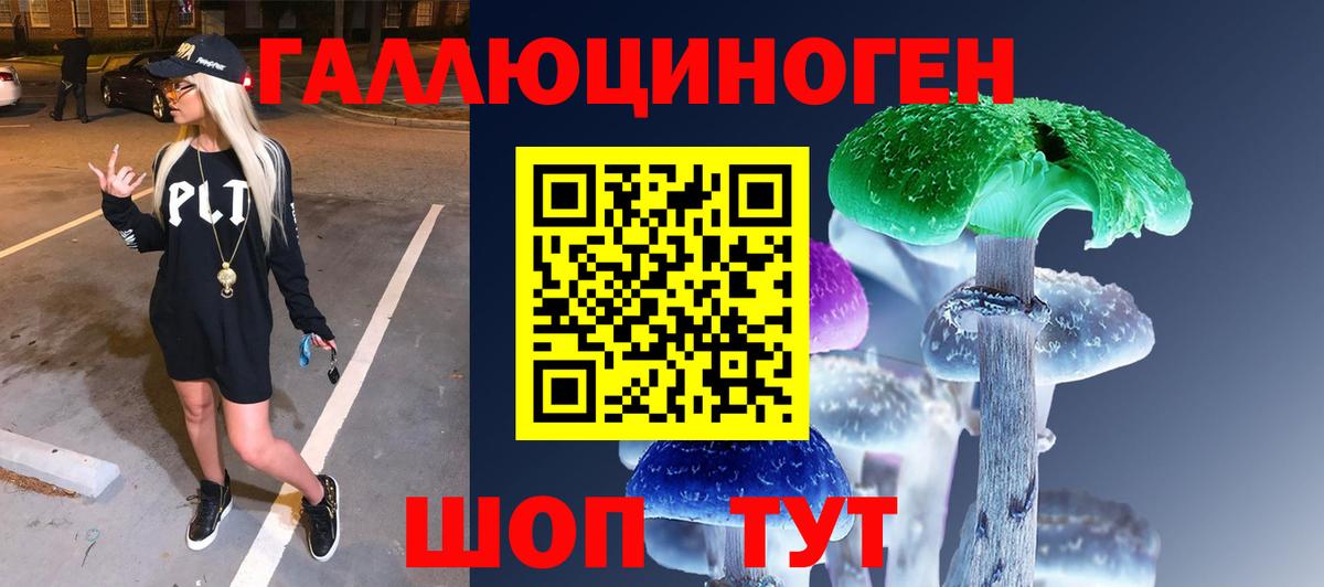 Галлюциногенные грибы GOLDEN TEACHER  Вход с VPN  где найти наркотики  Псилоцибиновые грибы MAGIC MUSHROOMS  Нефтекумск 