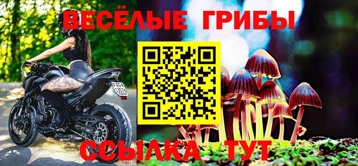 Галлюциногенные грибы Cubensis Нефтекумск