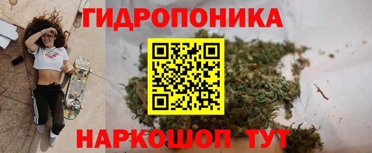 Конопля White Widow  Конопля семена  Вход с VPN  Нефтекумск  Каннабис Amnesia  Марихуана Bruce Banner 